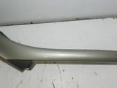 (A) pillar trim