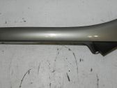 (B) Pillar trim (exterior)