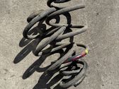Rear coil spring