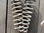 Rear coil spring