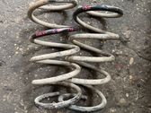 Rear coil spring