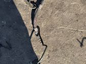 Power steering hose/pipe/line