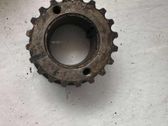 Crankshaft gear