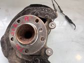 Front wheel hub spindle knuckle