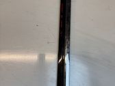 Rear door trim (molding)