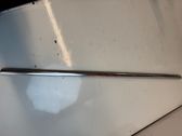 Rear door glass trim molding