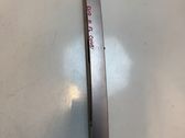 Number plate light