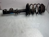 Front shock absorber/damper
