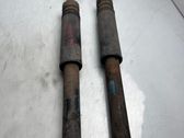 Stoßdämpfer hinten