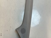 (A) pillar trim