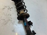 Front shock absorber with coil spring