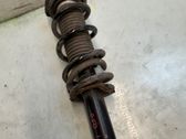 Front shock absorber with coil spring