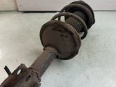 Front shock absorber/damper