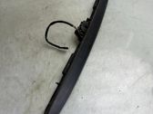 Trunk door license plate light bar