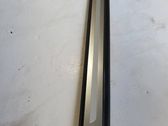 Front sill trim cover