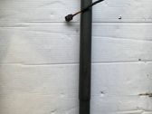 Tailgate strut