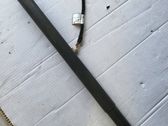Tailgate/trunk strut/damper