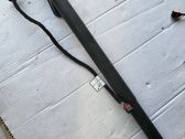 Tailgate/trunk strut/damper