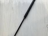 Front bonnet/hood damper/strut