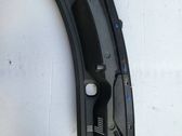 Wiper trim