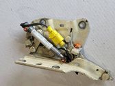 Engine bonnet/hood hinges