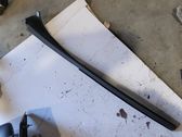 Windshield trim