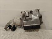 Engine control unit/module ECU
