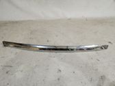 Bonnet/hood grill