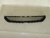 ACC Distronic radar sensor grill/trim