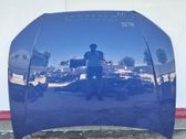 Engine bonnet/hood