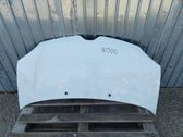 Engine bonnet/hood