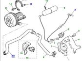 Engine coolant pipe/hose