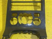 Radio/GPS head unit trim