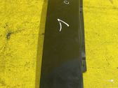 Rear door glass trim molding
