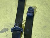 Moldura del cinturón