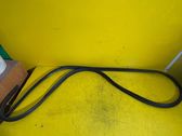 Seal rubber (tailgate)