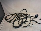 Other wiring loom