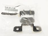 Tailgate/trunk/boot hinge
