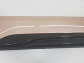 Rear door trim (molding)