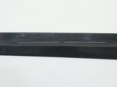 Front door trim (molding)