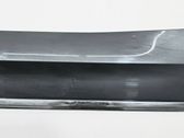Rear door trim (molding)