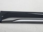 Rear door trim (molding)
