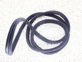Rear door rubber seal (on body)