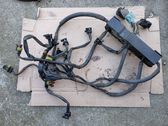 Engine installation wiring loom