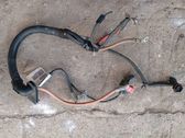 Wires (starter motor)