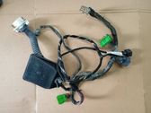Cableado de puerta delantera