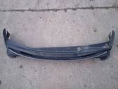 Wiper trim