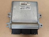 Engine control unit/module ECU