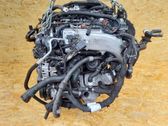 Motor completo