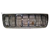 Front fog light trim/grill